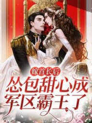 沈希顾璟南阅读