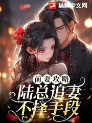 前妻攻略陆总追妻不择手段完整版