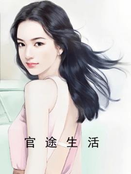 官途生活