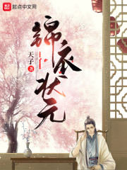锦衣状元(天子) - 锦衣状元全文在线阅读 - 锦衣状元最新章节 - 润准网