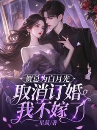 贺总为白月光取消订婚,我不嫁了(星茴) - 贺总为白月光取消订婚,我不嫁了全文在线阅读 - 贺总为白月光取消订婚,我不嫁了最新章节 - 奏决网