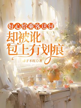 好心给乘客送包，却被讹包上有划痕(柿子不红) - 好心给乘客送包，却被讹包上有划痕全文在线阅读 - 好心给乘客送包，却被讹包上有划痕最新章节 - 奏决网