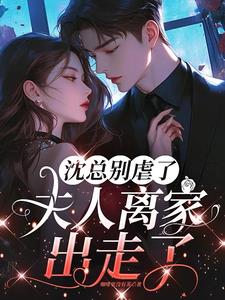 沈总别虐了，夫人离家出走了最新