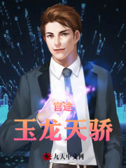 官途:玉龙天骄叶阳黎洁阅读