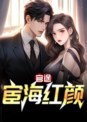 官途：宦海红颜阅读