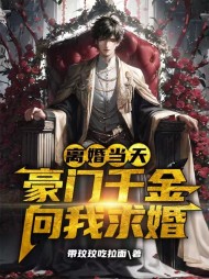 离婚当天，豪门千金向我求婚阅读