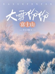 大雪纷纷富士山时媛沈世州阅读