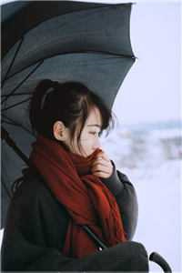 《借种2.0》作者：苏玛丽