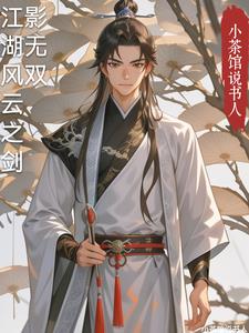 江湖风云之剑影无双林风