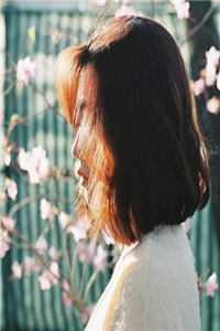 【言情】《杀殿，求把绒毛借我摸摸》 作者：一鸽不鸽(1)