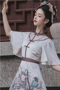 从皇商开始做女帝