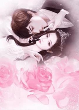 苏颜司霆舟小说