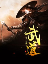 武道第一宗师易枫洛兰雪