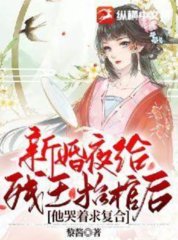 新婚夜给残王抬棺后他哭着求复合by黎酱
