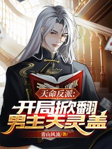 天命反派开局掀翻男主天灵盖(青山风流)
