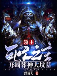 领主死亡之主开局葬神大坟墓