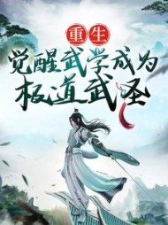 重生觉醒武学成为极道武圣
