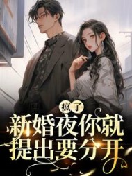 疯了新婚夜你就提出要分开