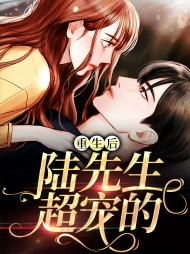 重生后陆先生超宠的