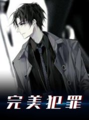 完美犯罪阅读