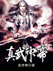 真武神帝夜梦寒