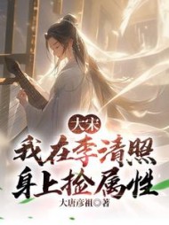 大宋我在李清照身上捡属性by大唐彦祖