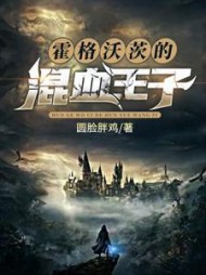 霍格沃茨的混血王子by圆脸胖鸡