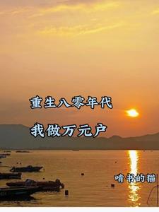 重生八零年代我做万元户