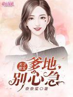 天才萌宝:爹地，别心急